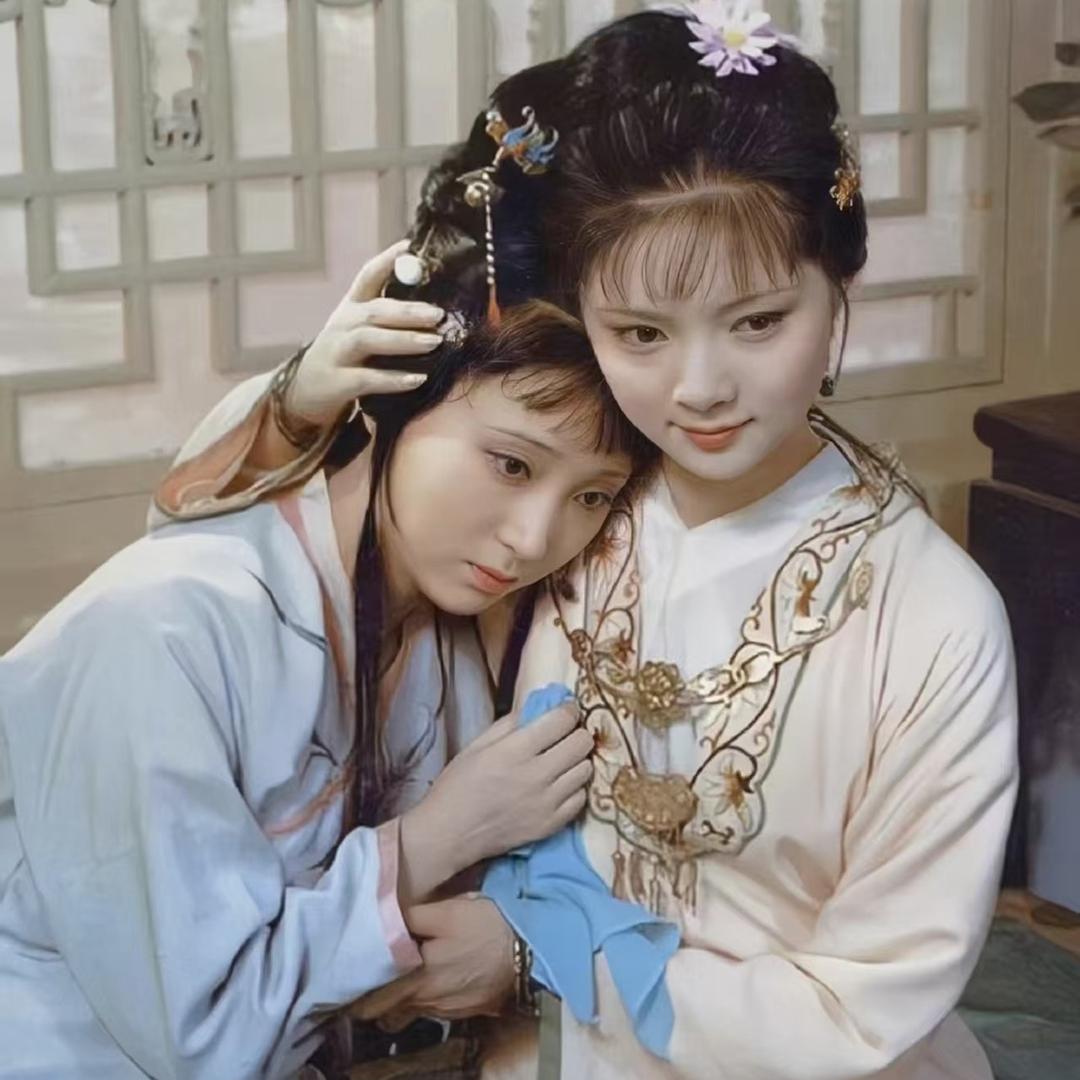 蘅芜潇湘（推钗黛，拒绝黑金陵12钗）