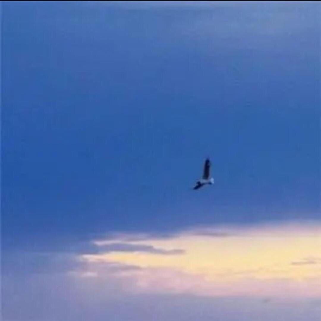 天若有情