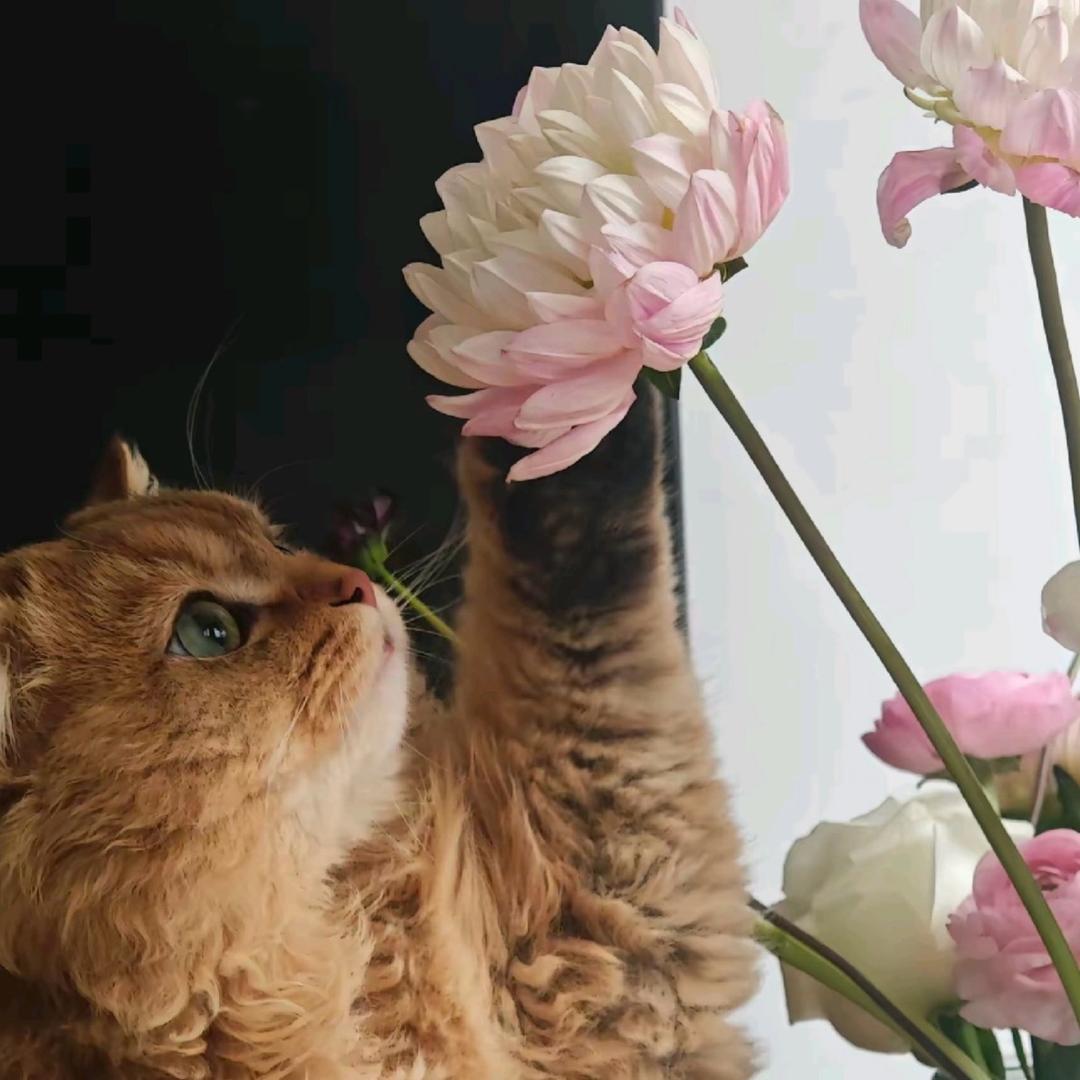 nannannannan