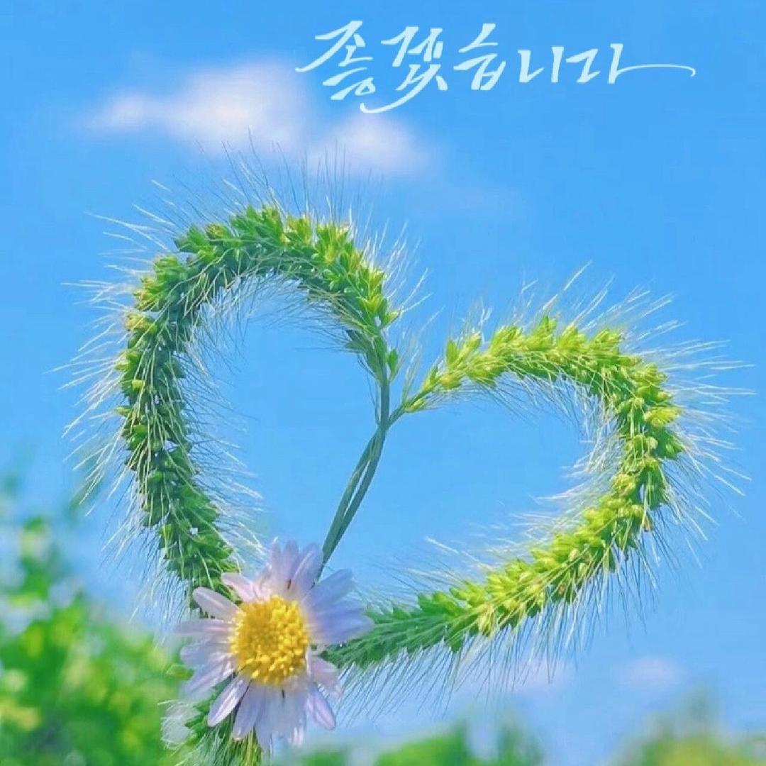 云贵川土特产玲珑168