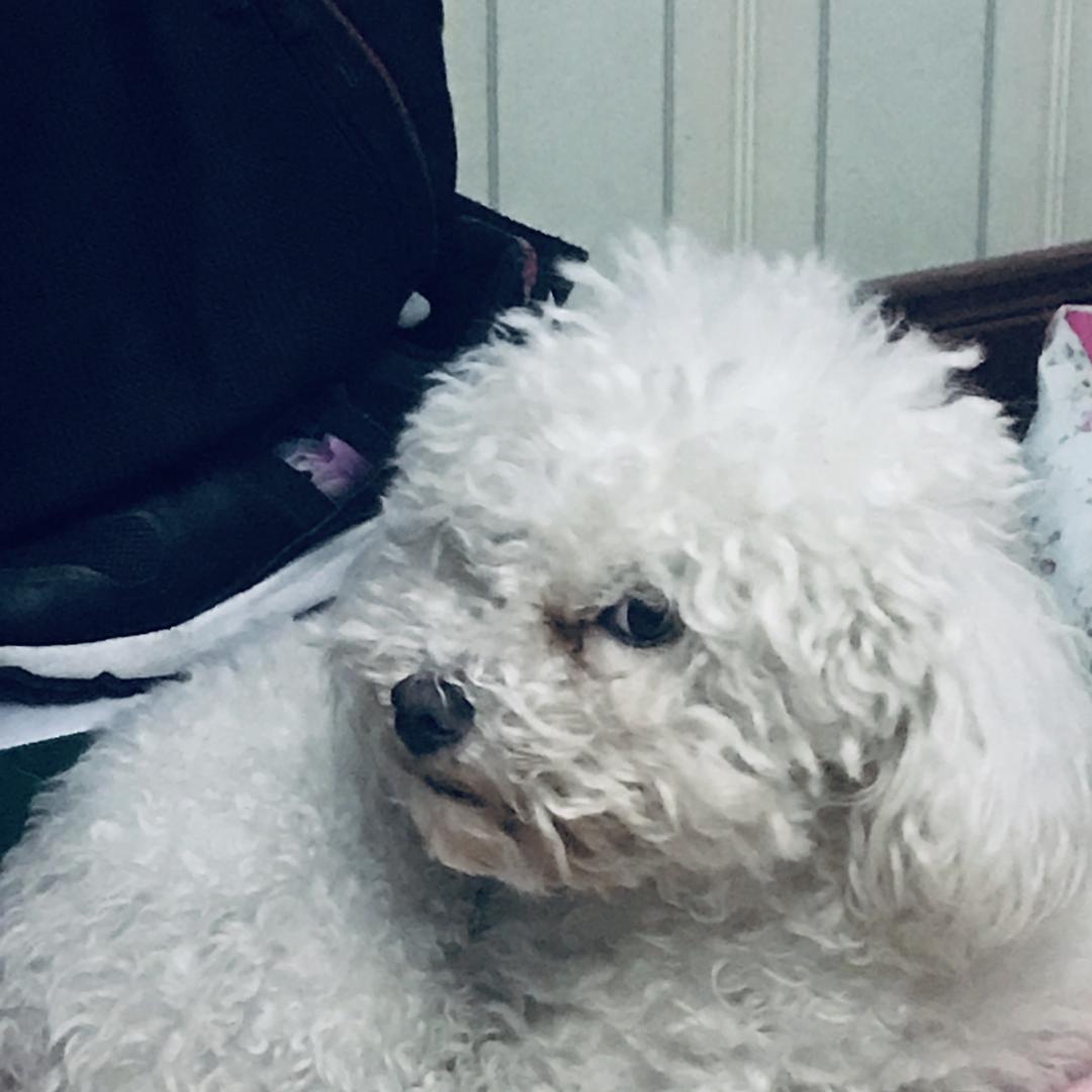 义乌市温麦日用百货商行