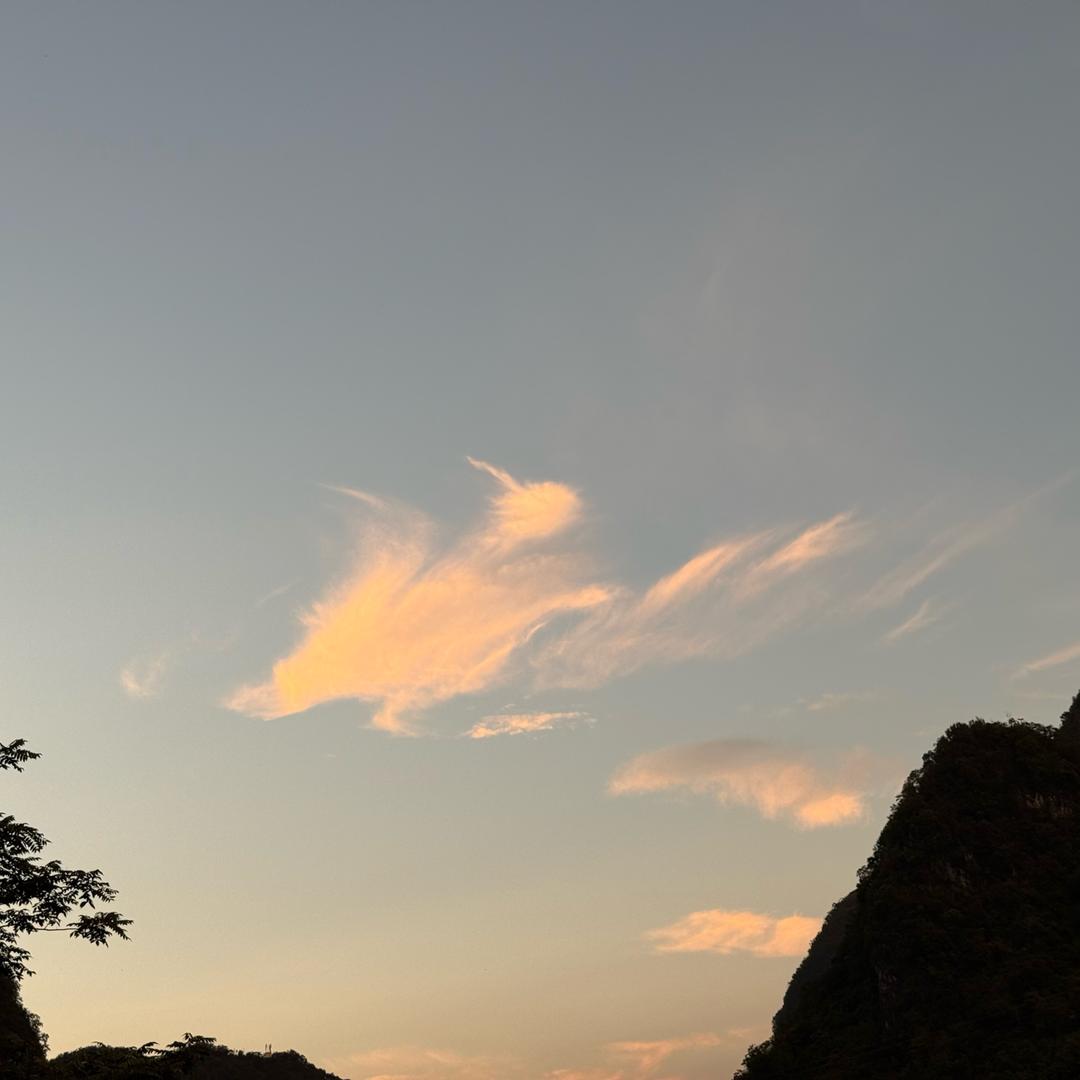 废号