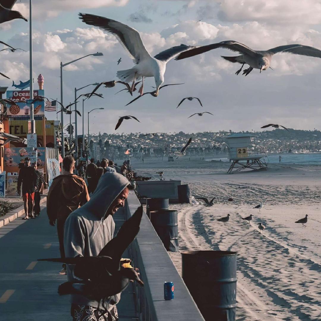 日记本旁的皮卡🛻