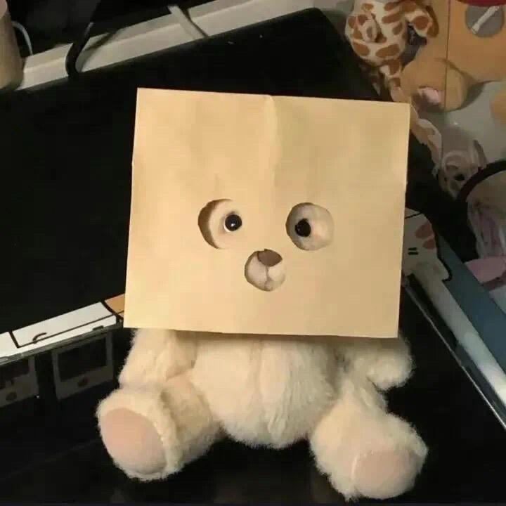 卡特.