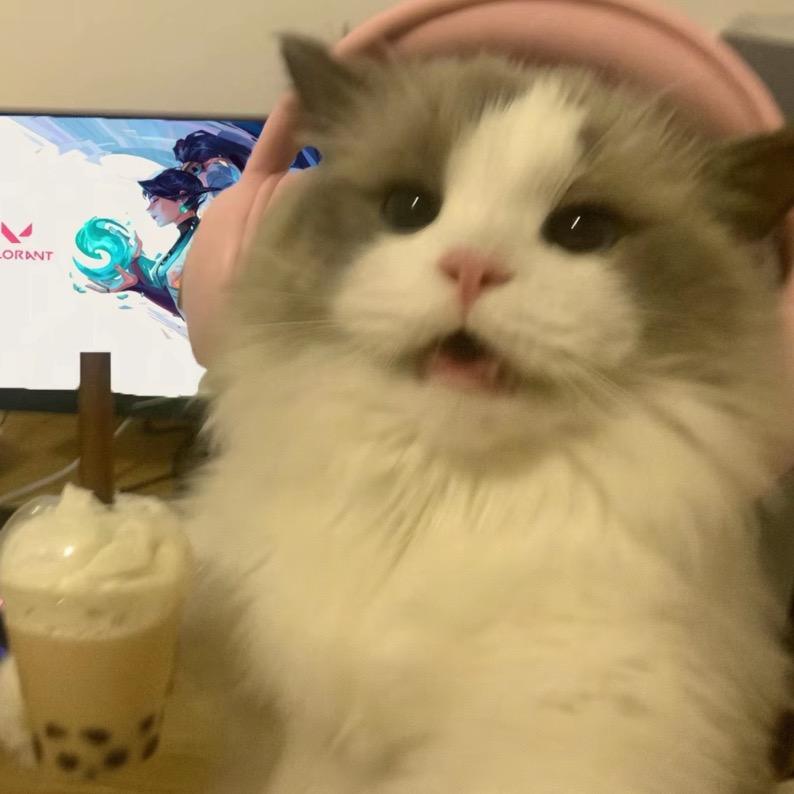 小榆Pro-max