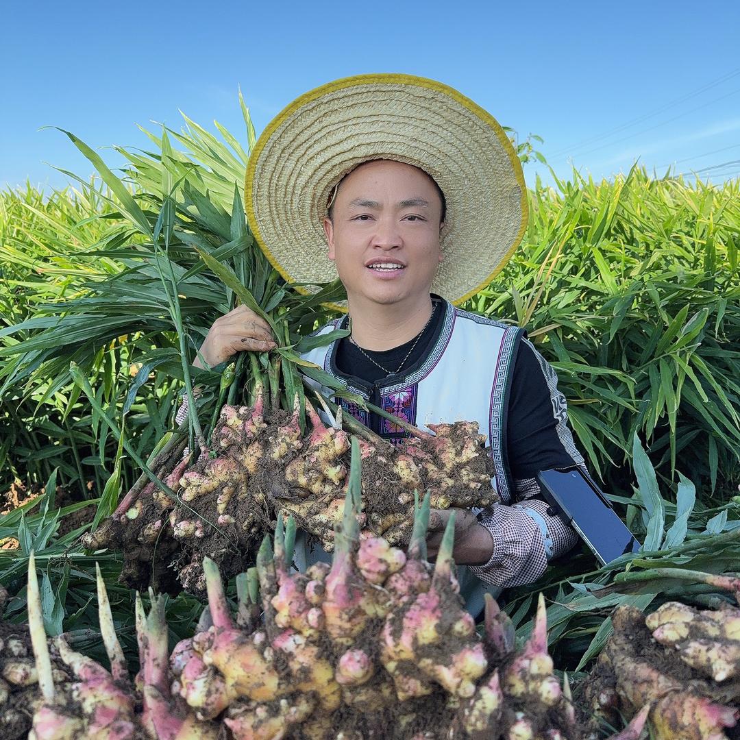 哥哥回村摆摊号