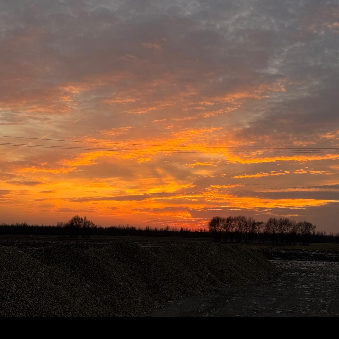 要不就叫赵姐吧