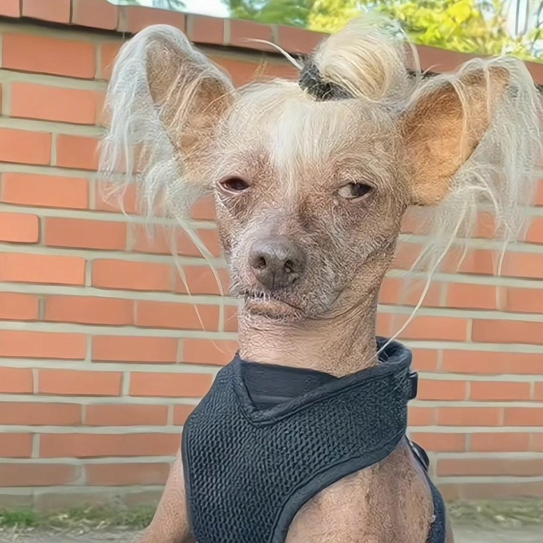 三和大神      　　　　　　╲