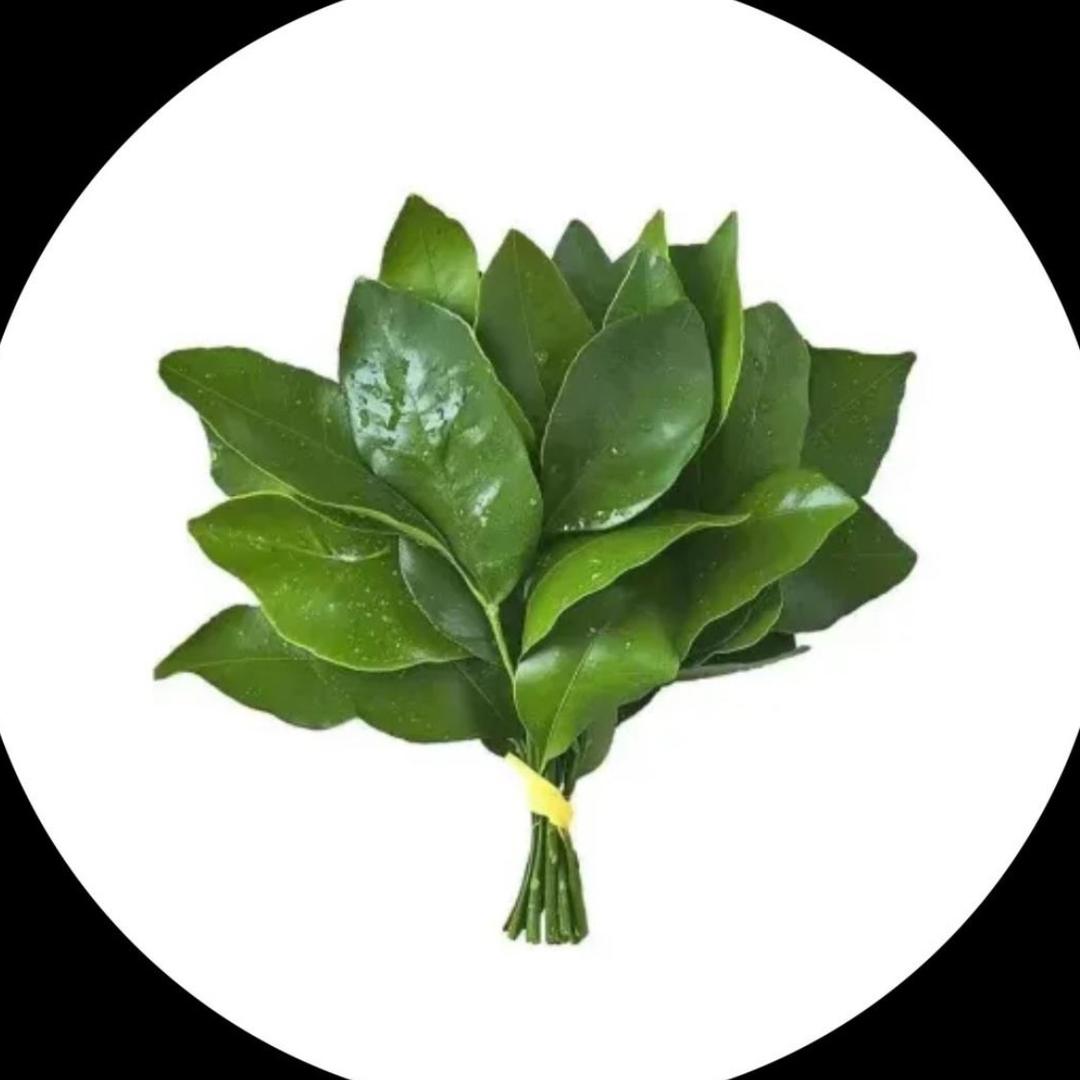 美年IU ≽^•༚• ྀི≼