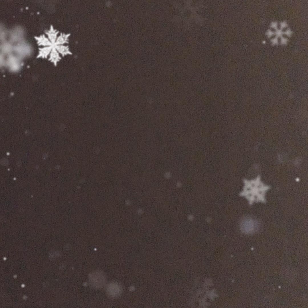立足苍海