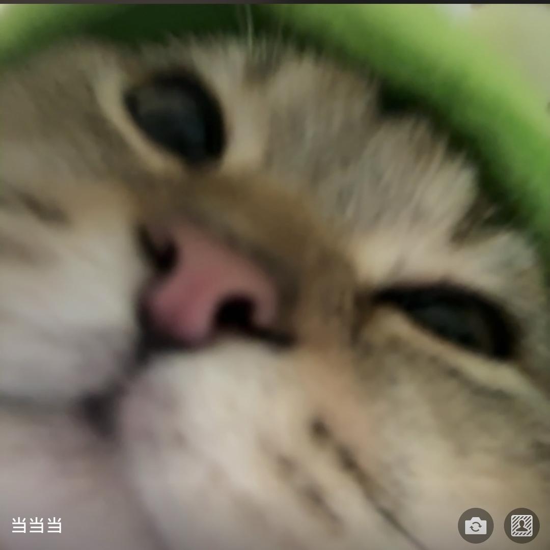 @招财