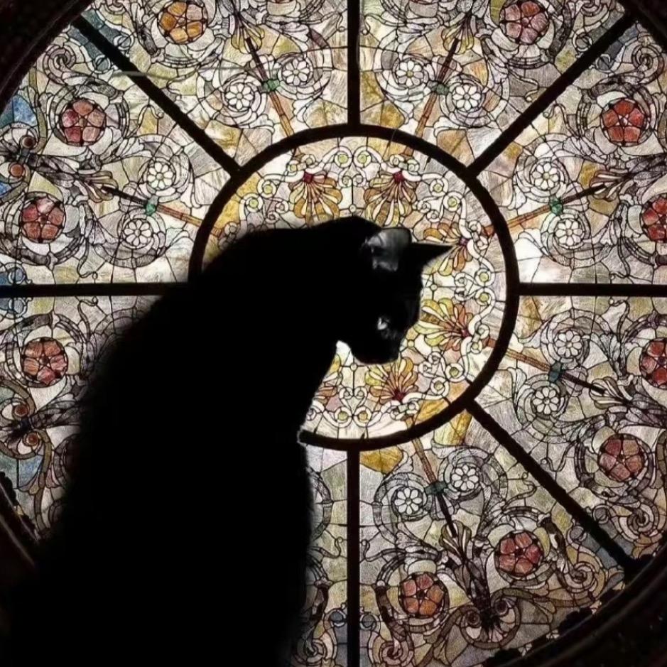 猫毛卯帽