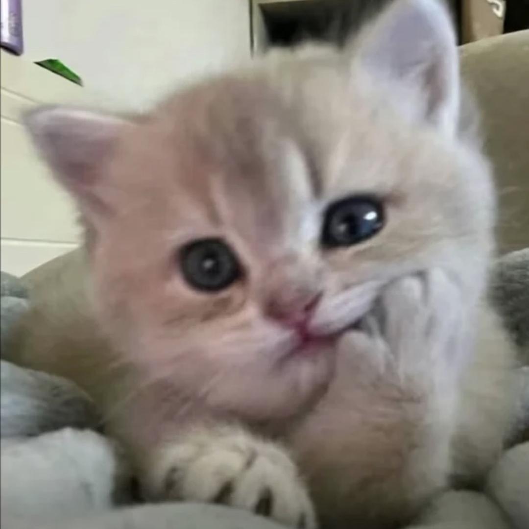 想喝一点点