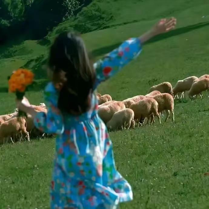 晚晚的家（软装中）