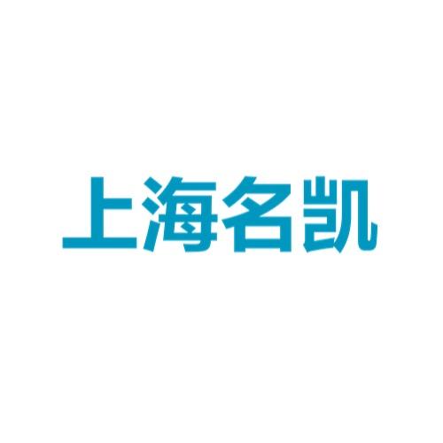 上汽大通轻型车