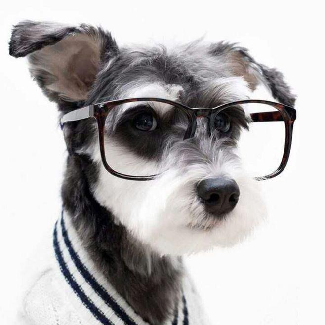 KK（三角洲糕手）