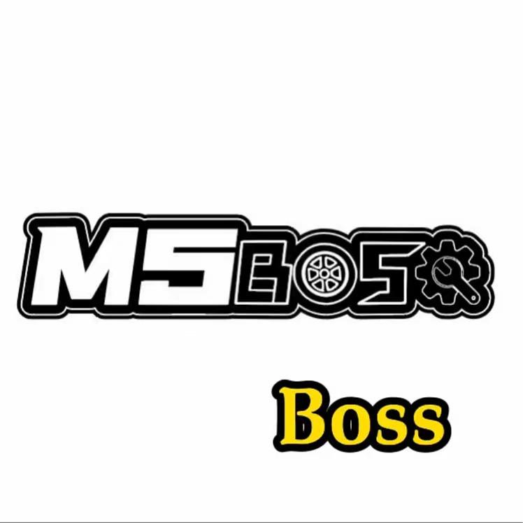 M5技研-表愣BOSS