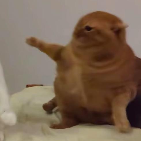 一二三四五六七🍚 🍚 🍚