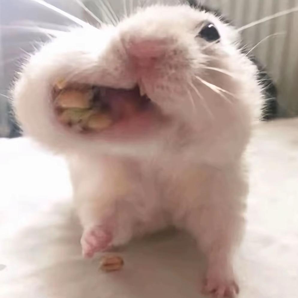 不瘦15斤不改名！