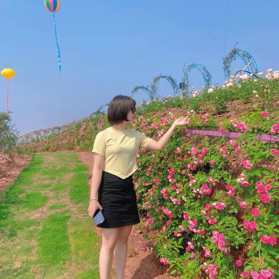 圆滚滚🌹