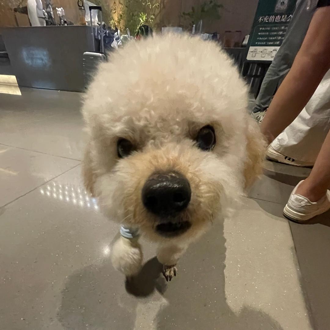 温岭安颐酒店小倩