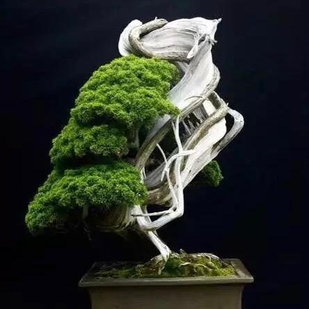 梦缘家纺城