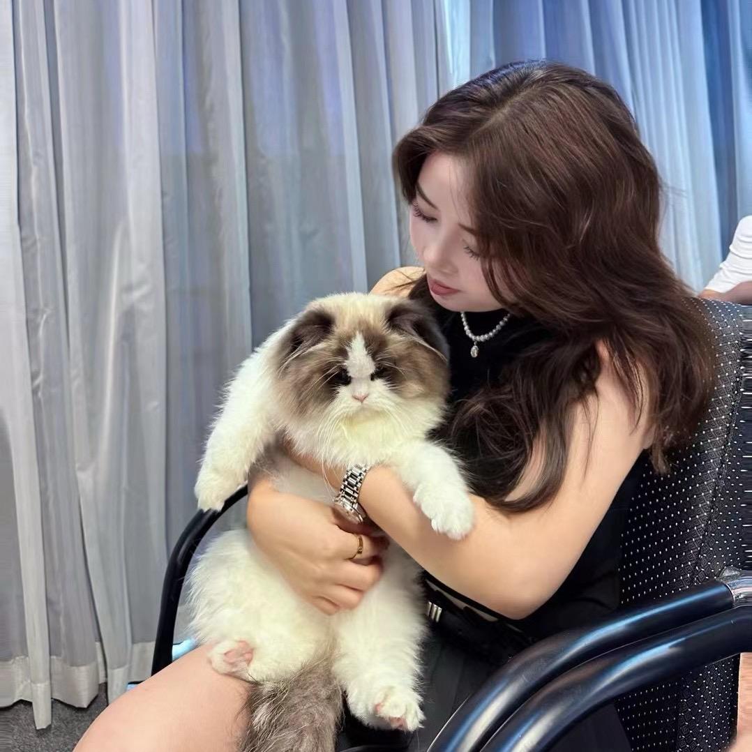 喵姐爱猫