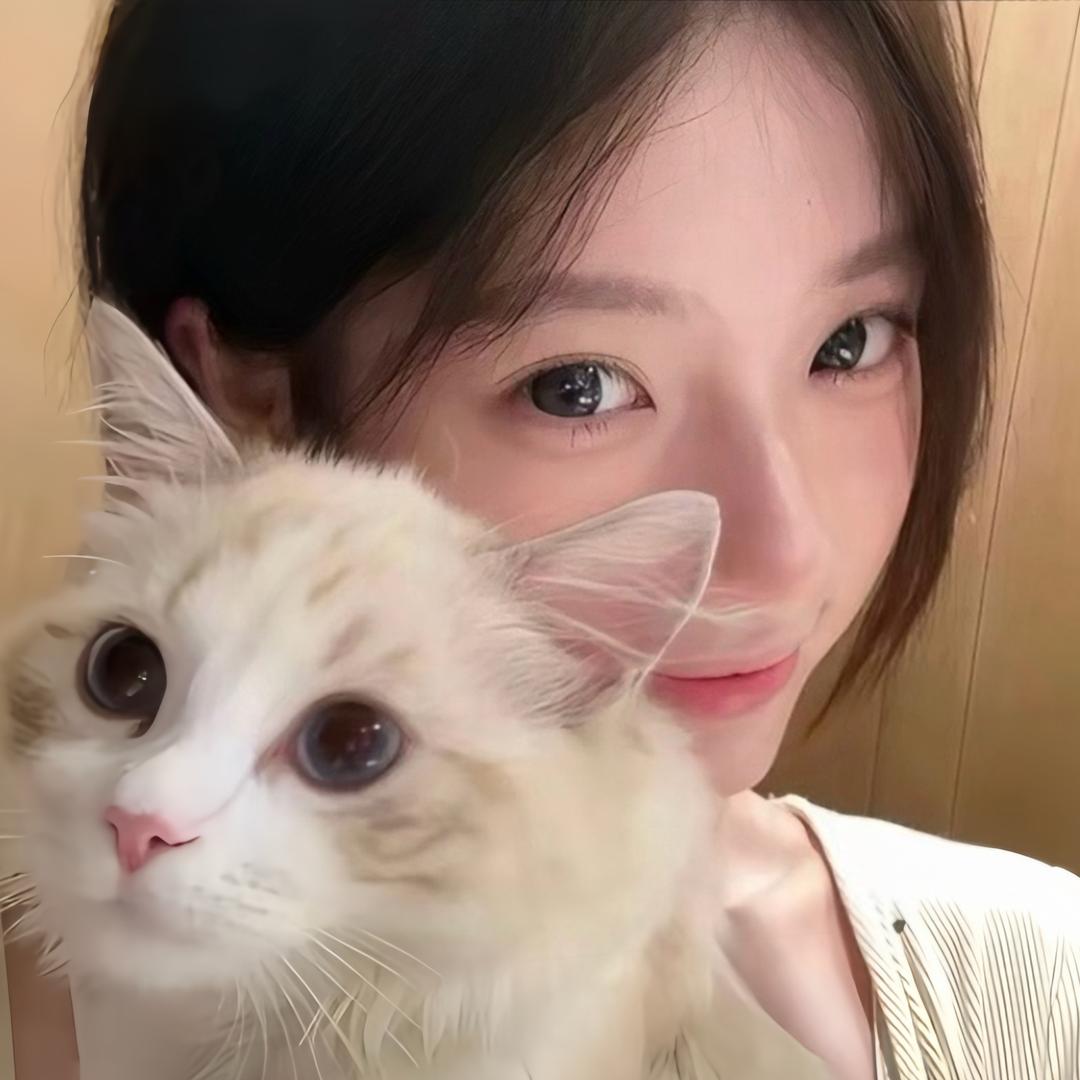 养只小猫