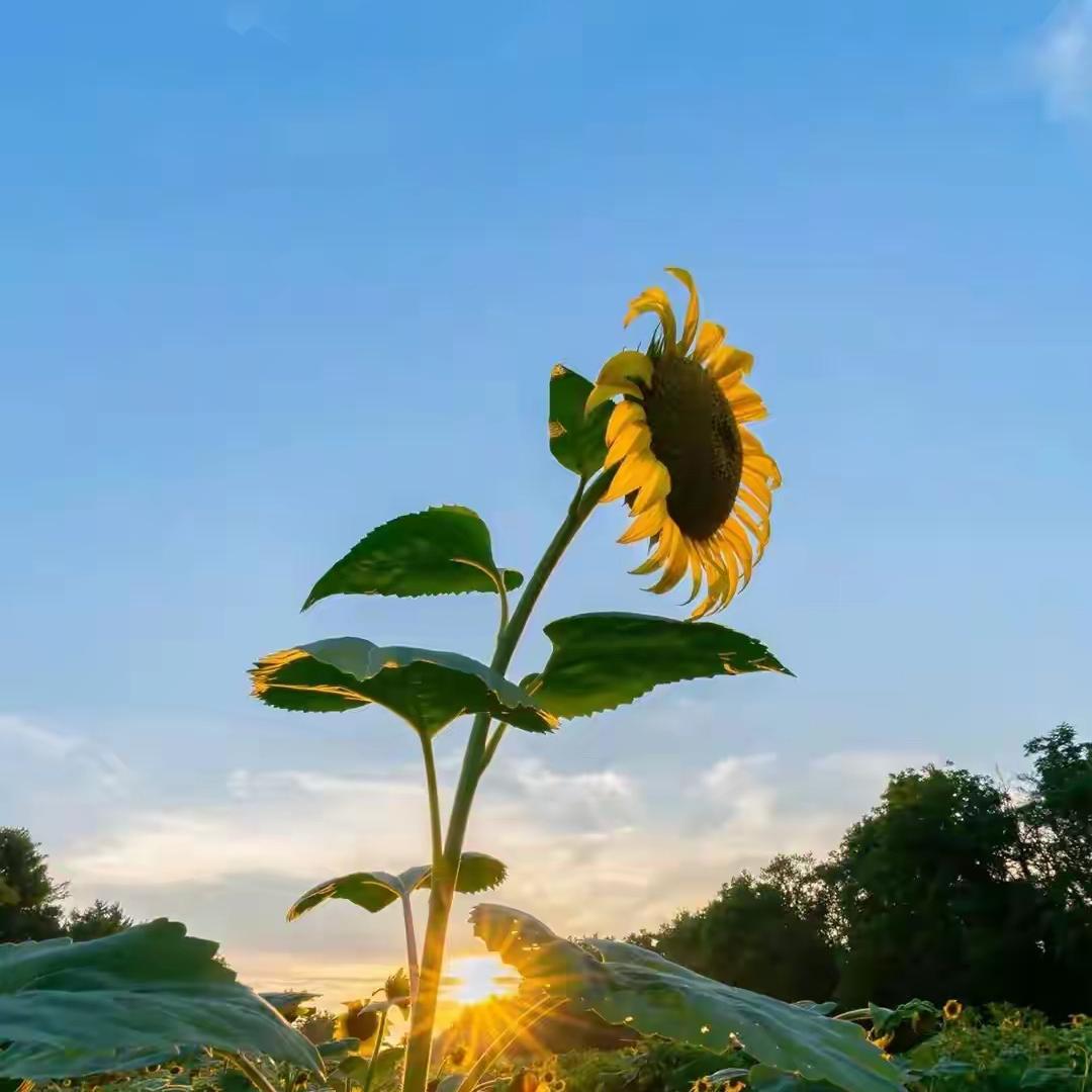 威克明建材旗舰店