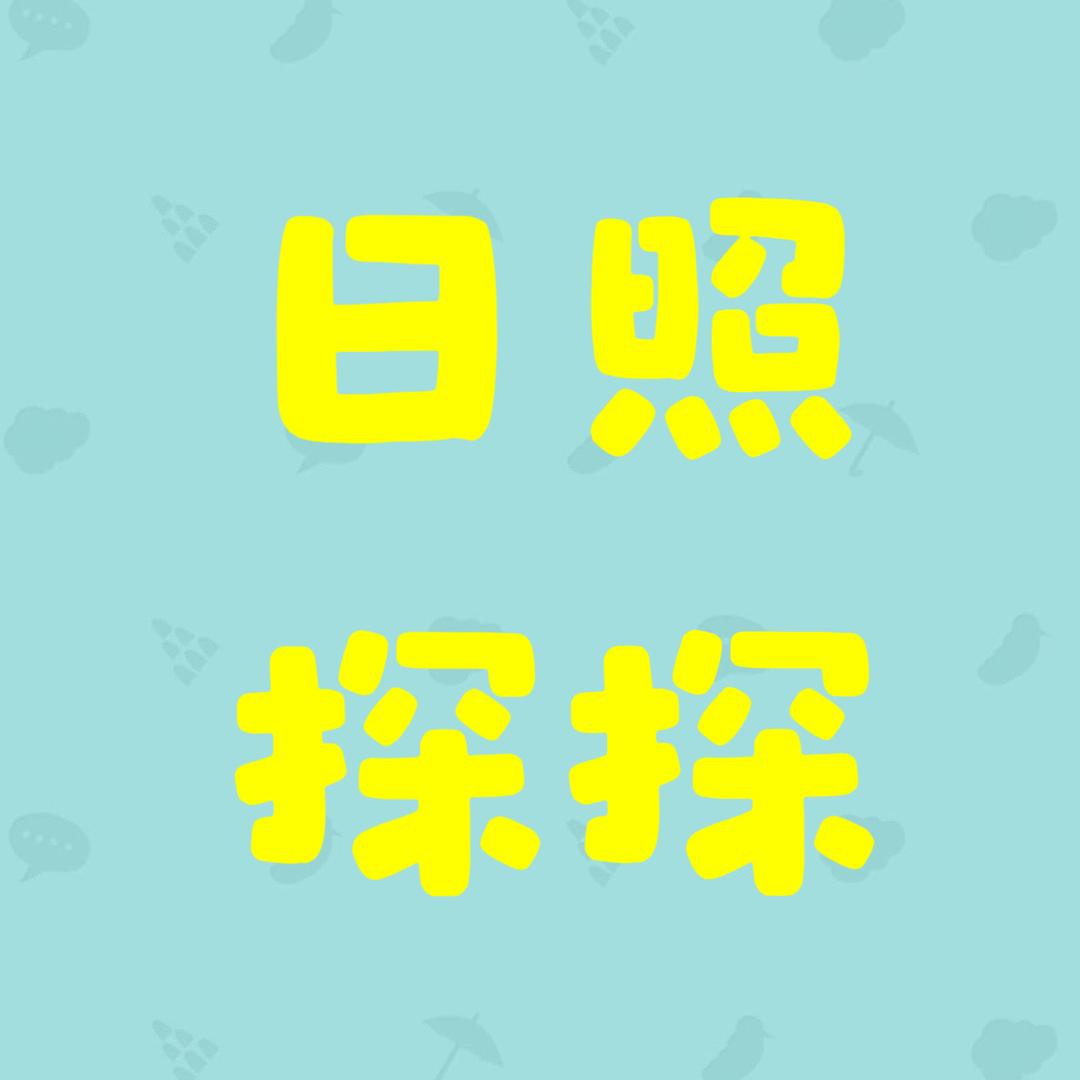 日照探探