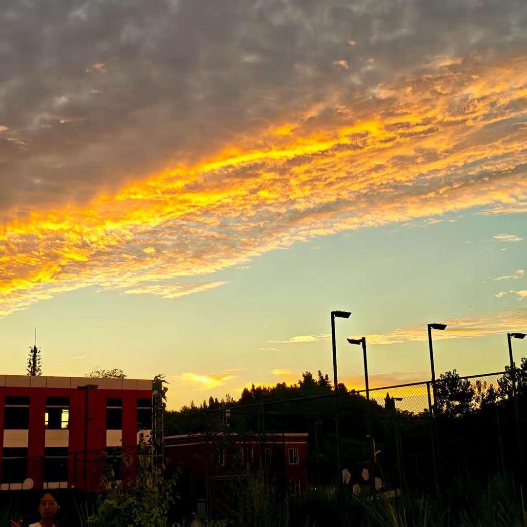 垂头丧气的香蕉