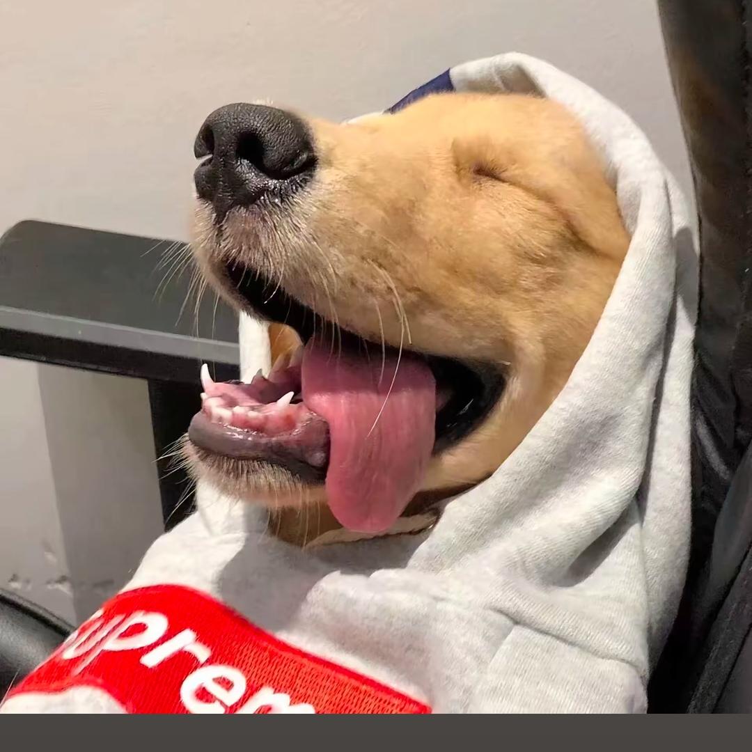 爱吃草莓棒棒糖