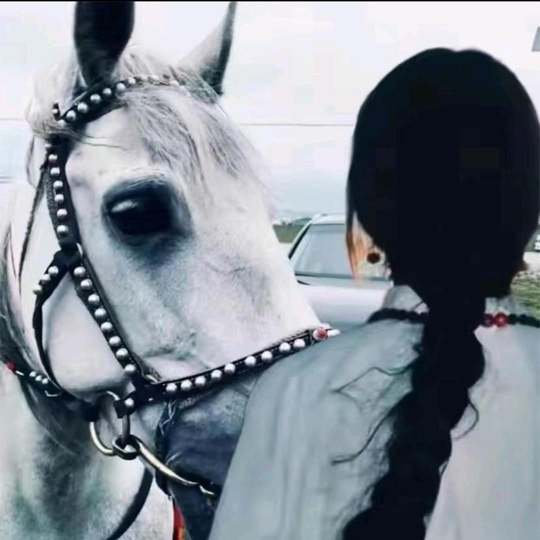 ࿐མཚོ ❤️‍🔥