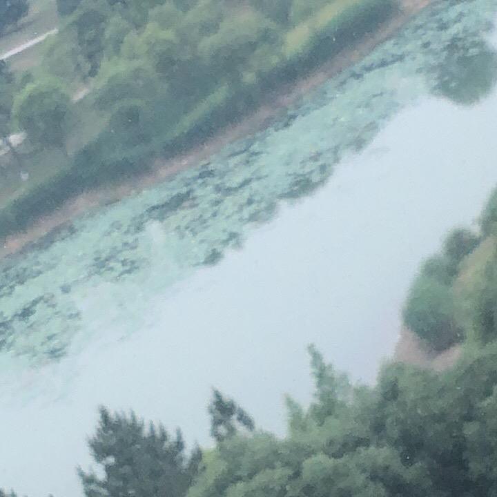 行动派