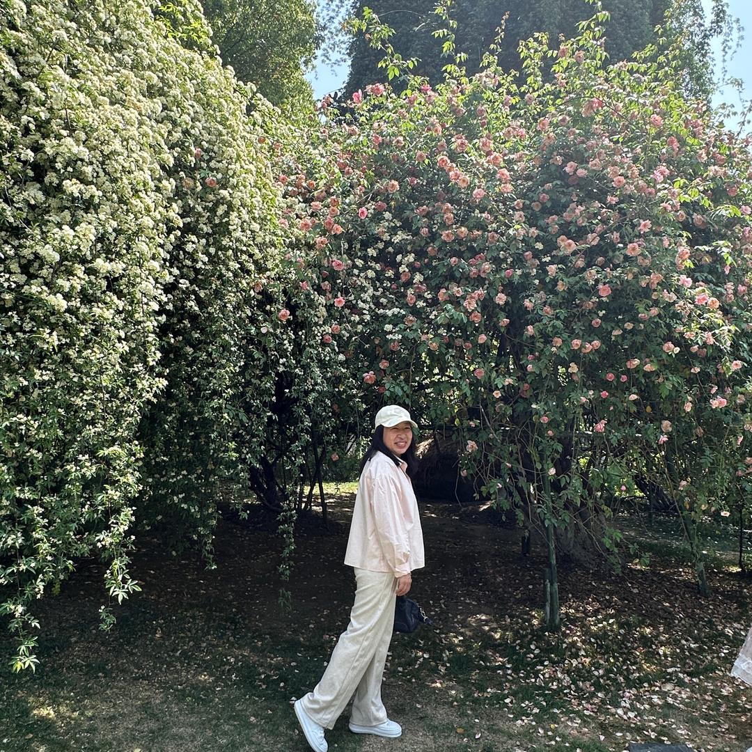 梨粒