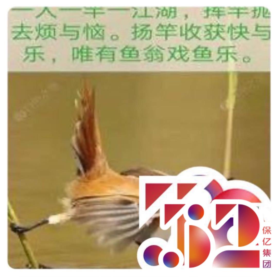 钓鱼滃