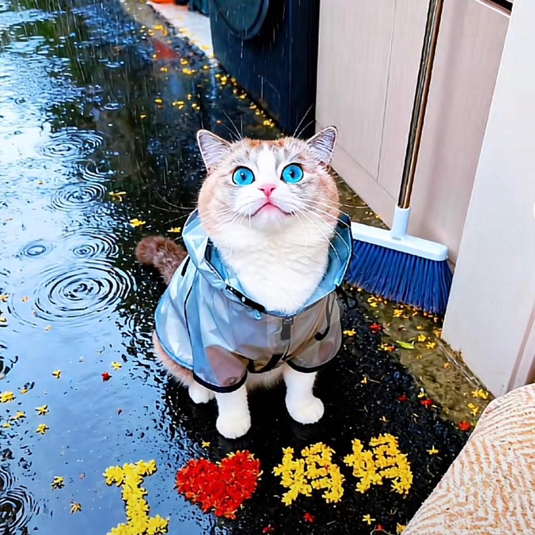 诗琪麻麻
