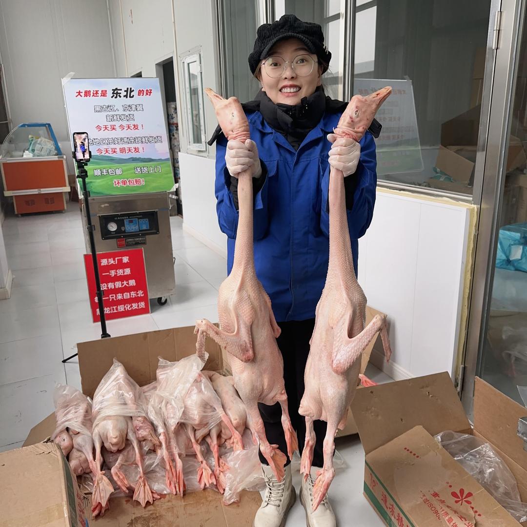 小猪卖鹅