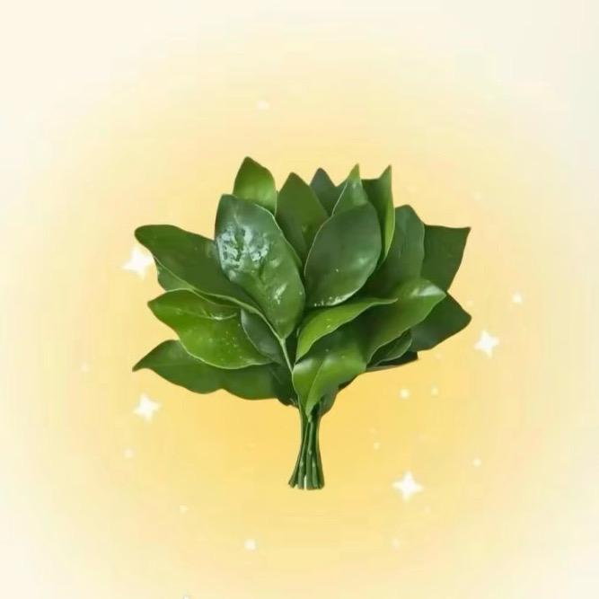 小🐑            .