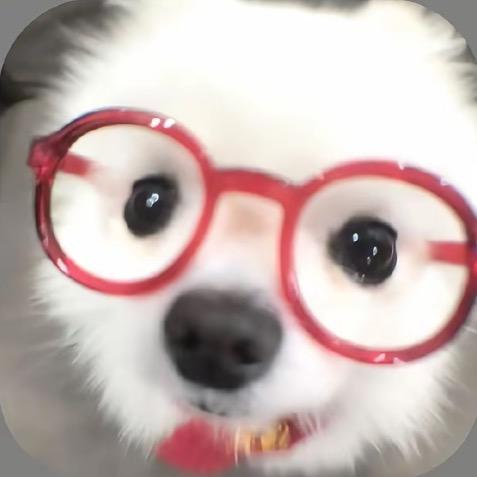 Puffiowo