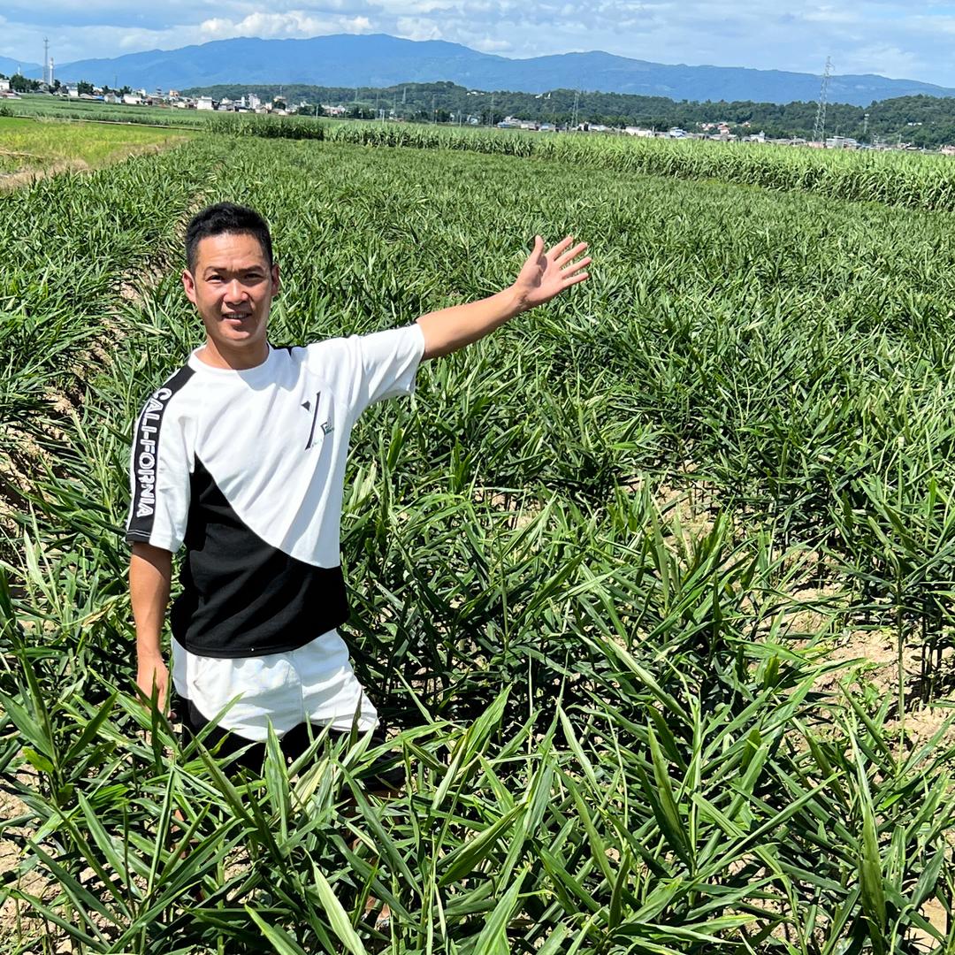 太溪邦别叫我姜王