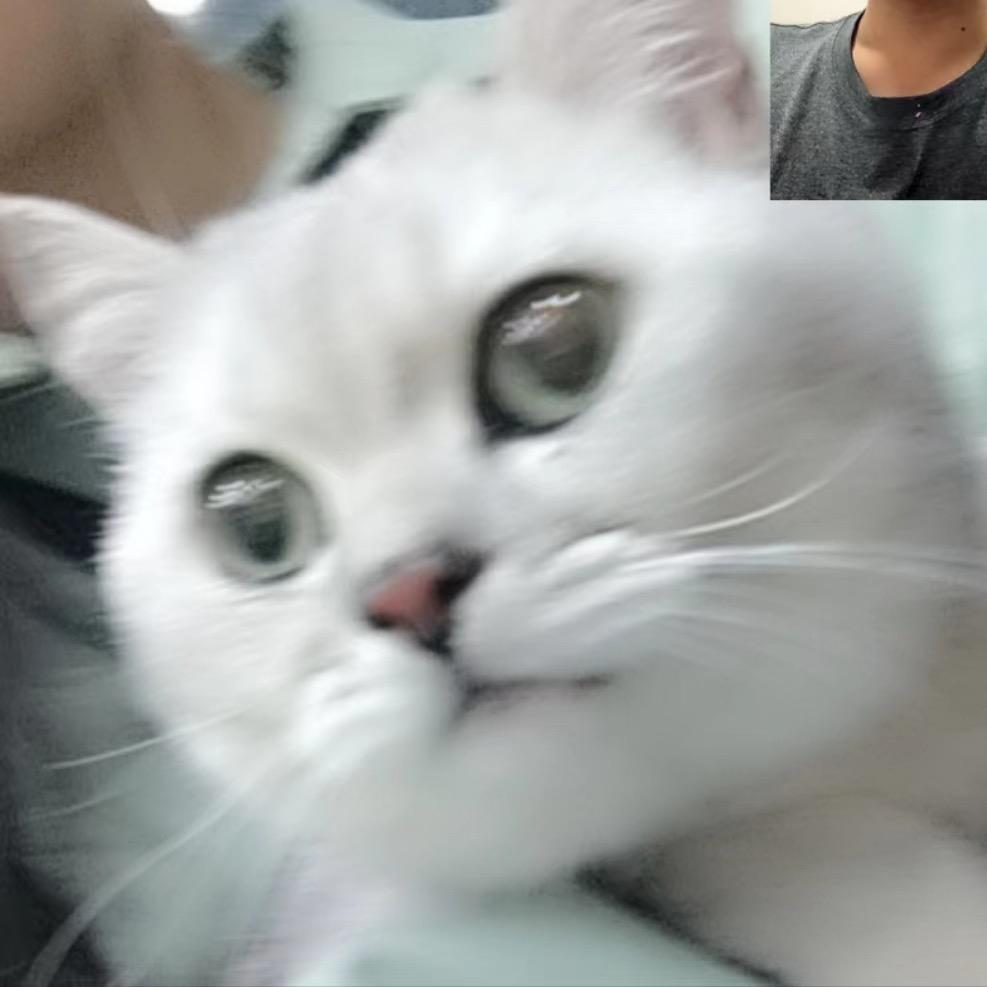 kun