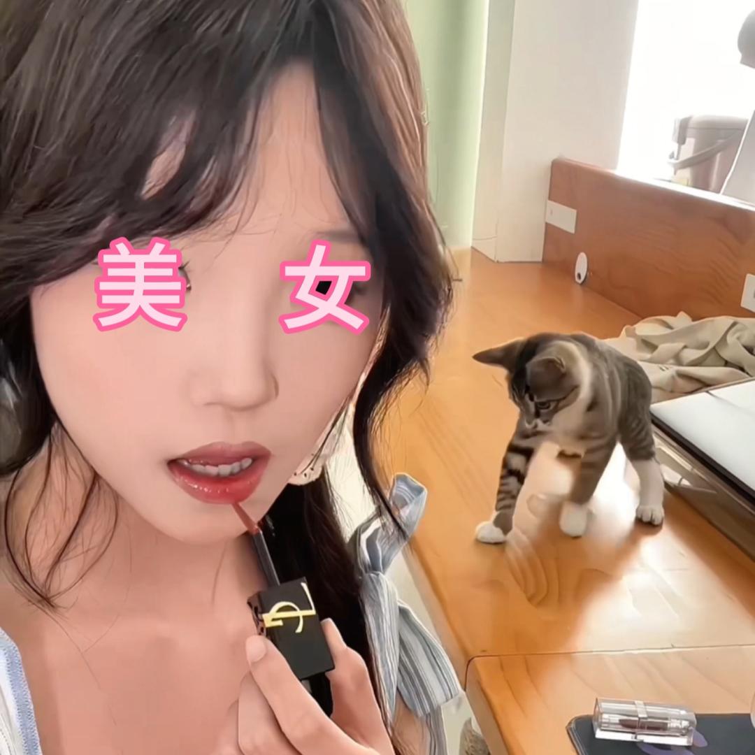 小鱼爱吃猫