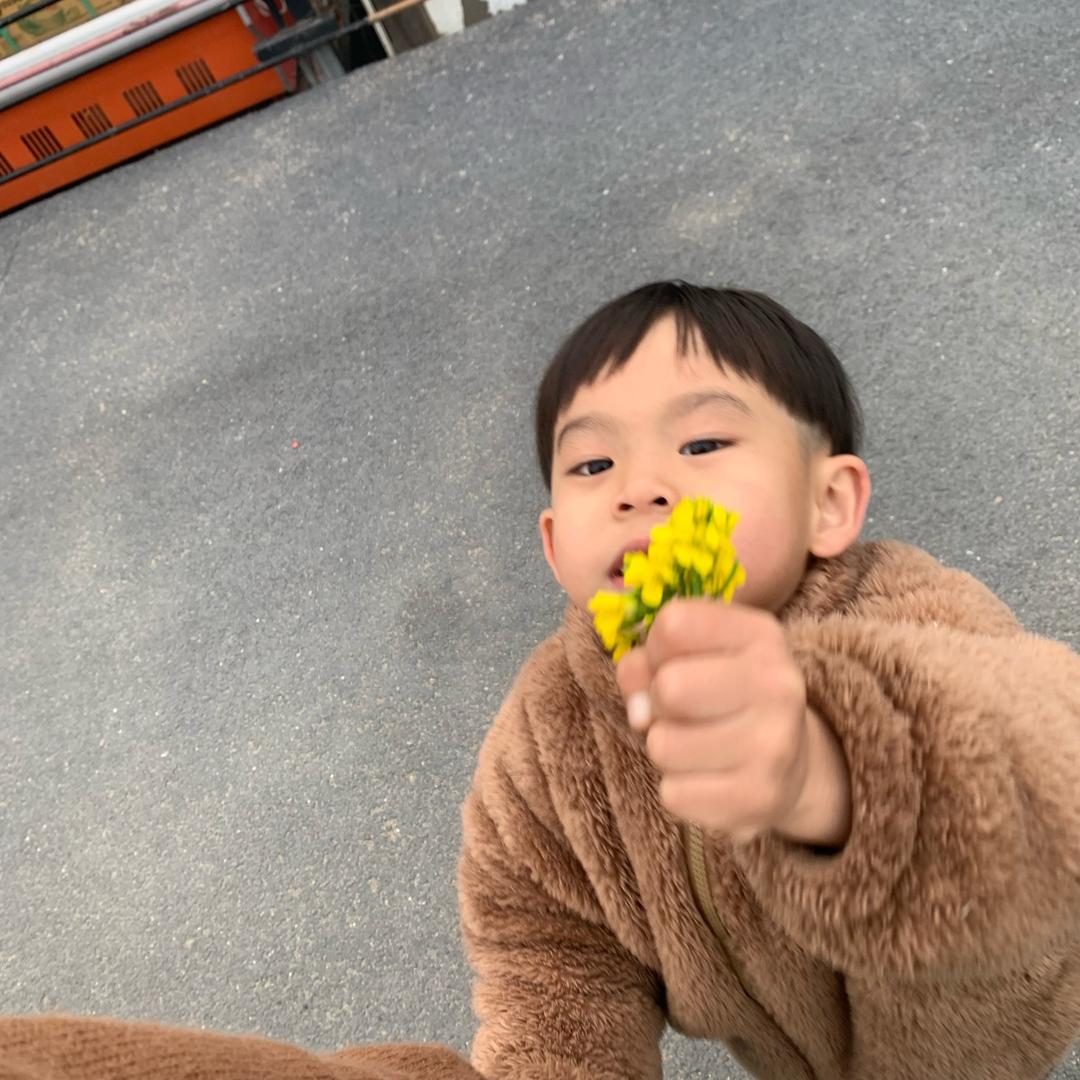 为娱不为鱼