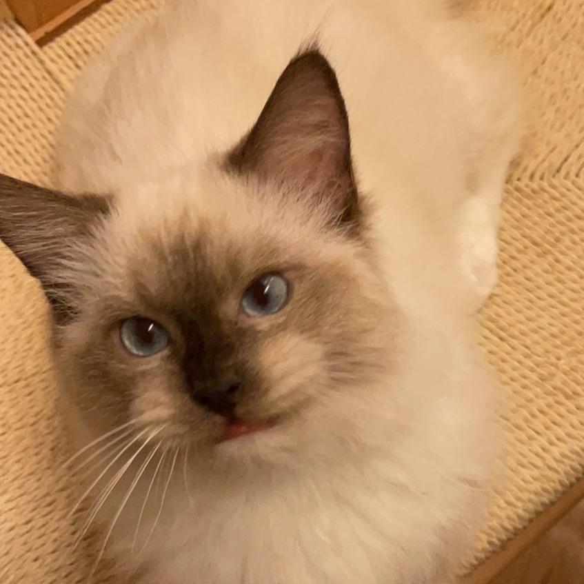 @猪友《好物分享》