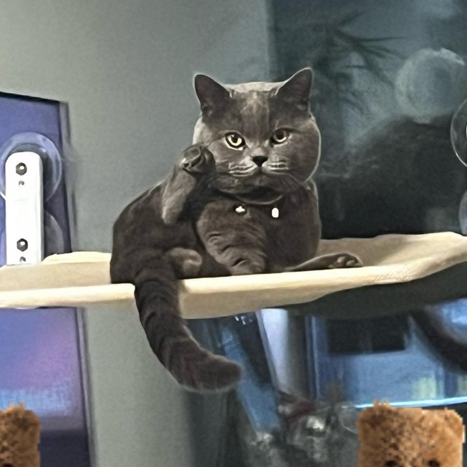 慌野中林北之精彩片段