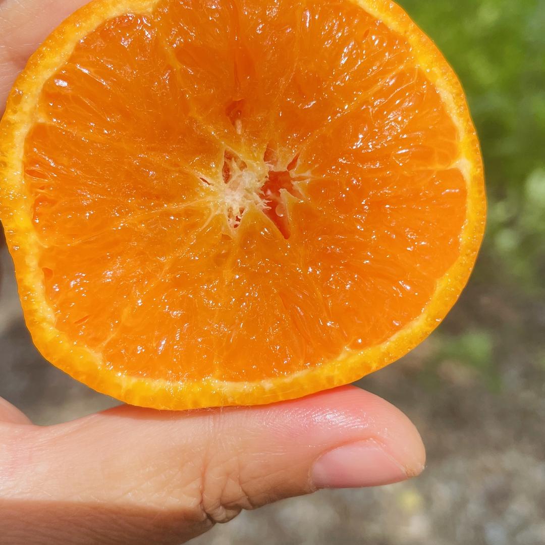 万汇生鲜