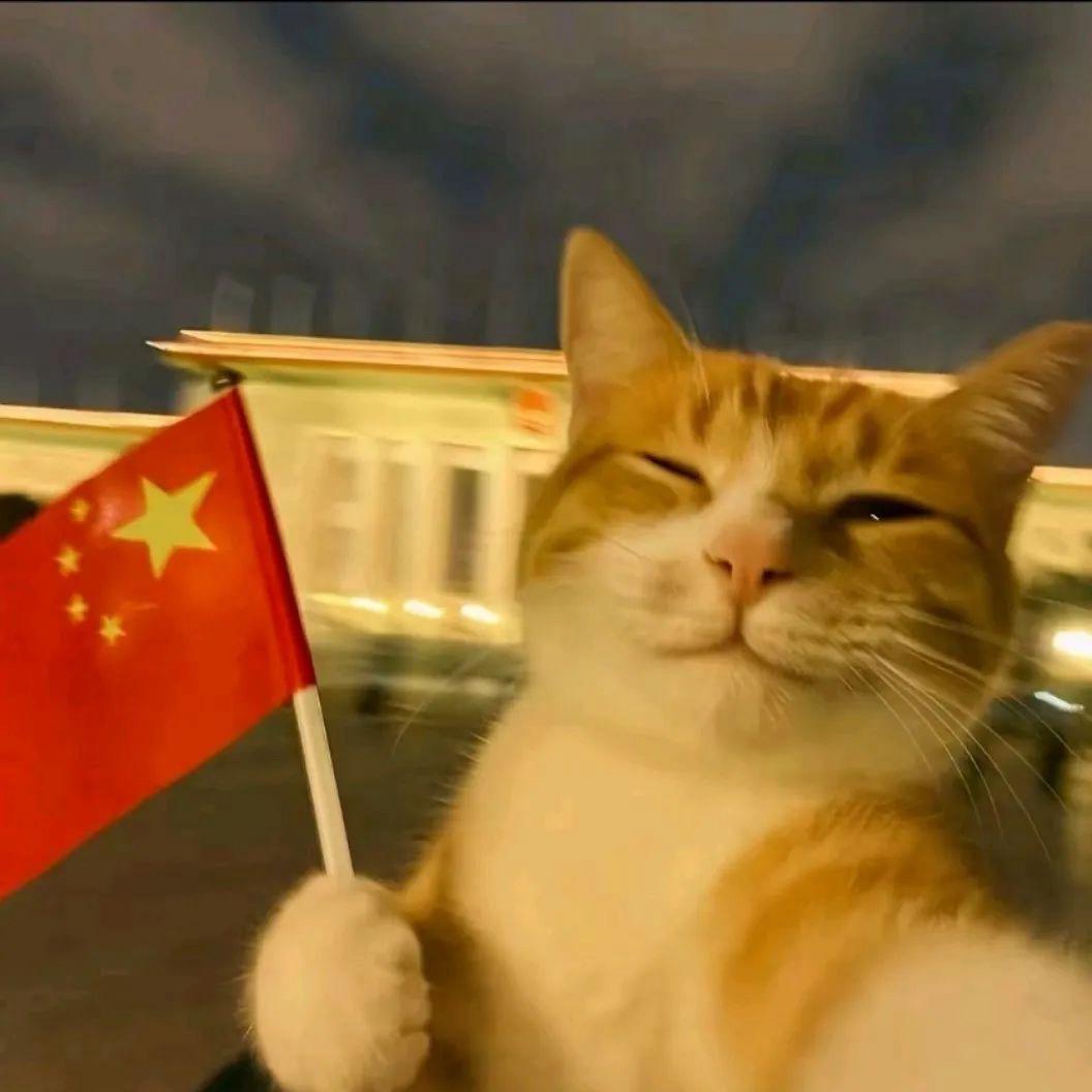 ─=≡Σ((( つ•̀ 3 •́)つ