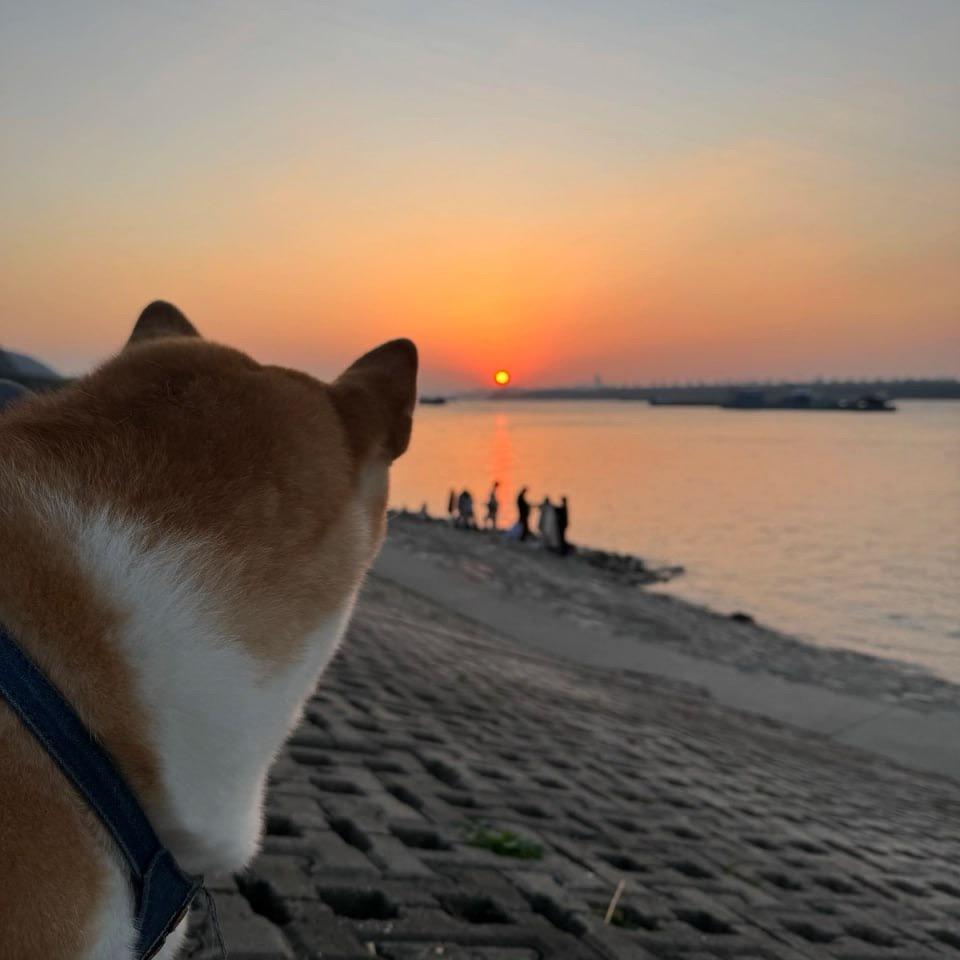 二狗