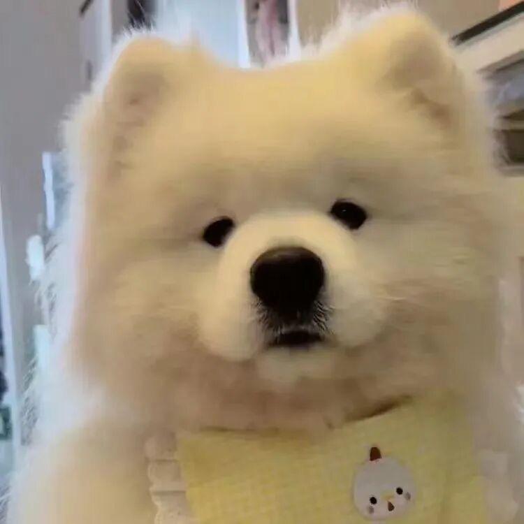 下网就炸🏸️